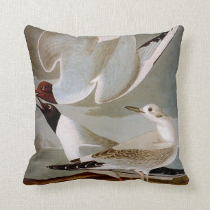 Audubon: Bonaparte's Gull Throw Pillow