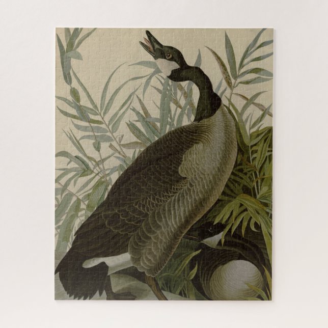 Audubon Canada Goose Wildlife Bird Jigsaw Puzzle (Vertical)