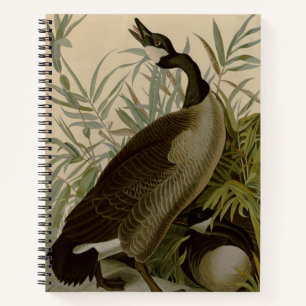 Audubon Canada Goose Wildlife Bird Notebook