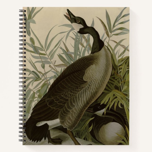 Audubon Canada Goose Wildlife Bird Notebook (Front)