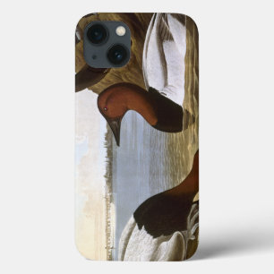Audubon: Canvasback iPhone 13 Case