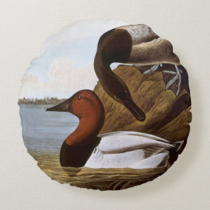 Audubon: Canvasback Round Pillow