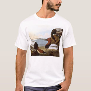 Audubon: Canvasback T-Shirt