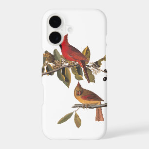 Audubon Cardinal Pair in Wild Almond Tree