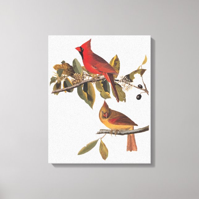 Audubon Cardinal Pair in Wild Almond Tree Canvas Print (Front)