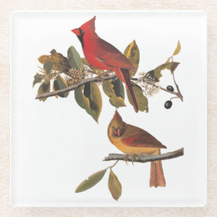 Audubon Cardinal Pair in Wild Almond Tree Glass Coaster
