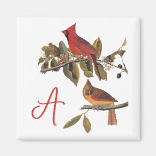 Audubon Cardinal Pair in Wild Almond Tree Magnet