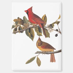 Audubon Cardinal Pair in Wild Almond Tree Magnet