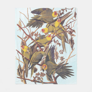 Audubon Carolina Parakeet Flock Fleece Blanket