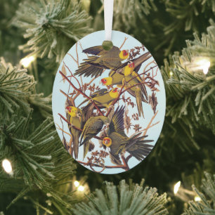 Audubon Carolina Parakeet Flock Metal Ornament