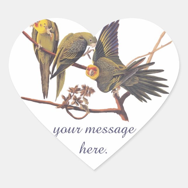 Audubon Carolina Parakeet Trio Heart Sticker (Front)