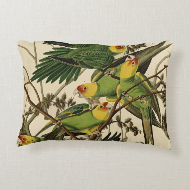 Audubon Carolina Parrot Bird illustration Accent Pillow (Back)