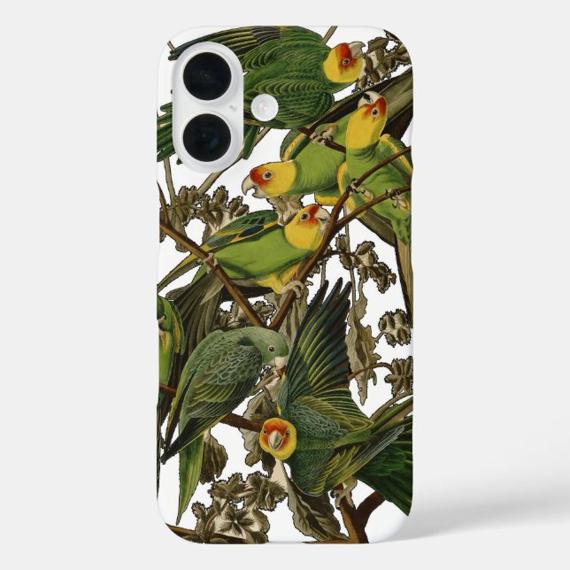 Audubon Carolina Parrot Bird illustration Case-Mate iPhone Case (Back)