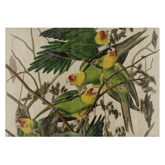 Audubon Carolina Parrot Bird illustration Cutting Board (Front)