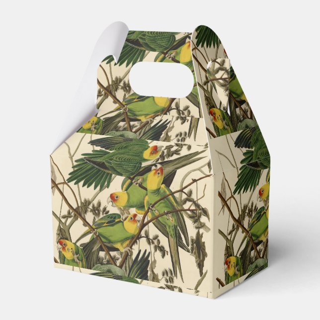Audubon Carolina Parrot Bird illustration Favor Box (Front Side)