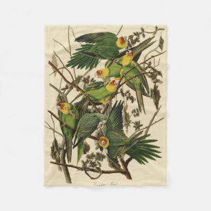 Audubon Carolina Parrot Bird illustration Fleece Blanket