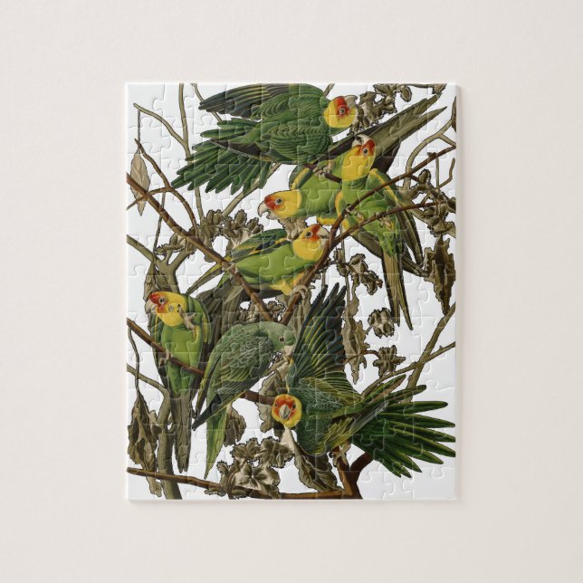 Audubon Carolina Parrot Bird illustration Jigsaw Puzzle (Vertical)