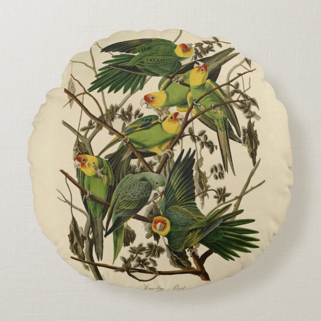 Audubon Carolina Parrot Bird illustration Round Pillow (Front)