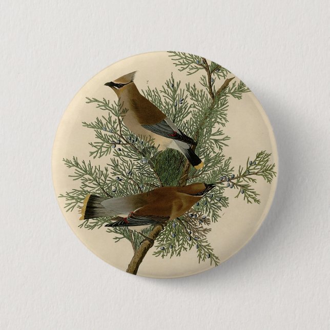 Audubon Cedar Waxwing Bird 2 Inch Round Button (Front)