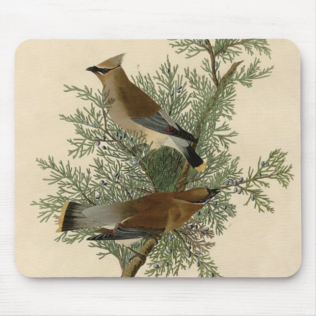 Audubon Cedar Waxwing Bird Mouse Pad (Front)