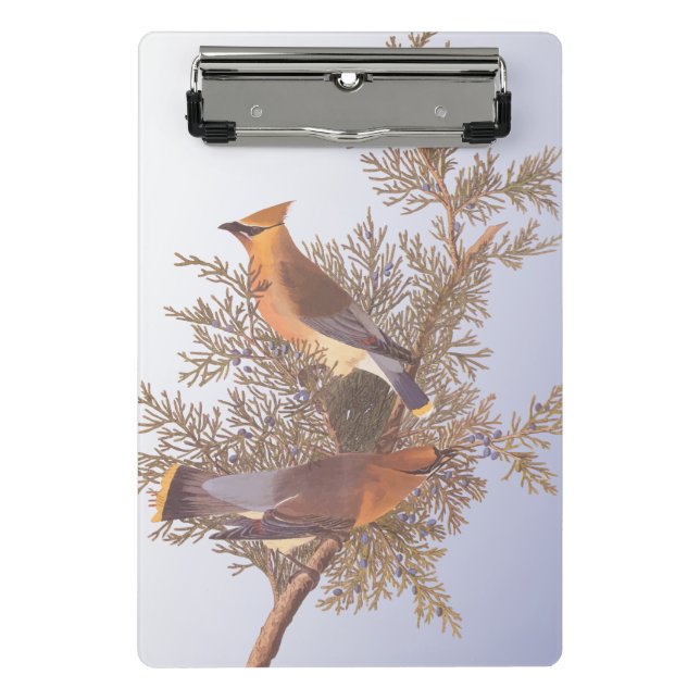 Audubon Cedar Waxwing Bird on Evergreen Juniper Mini Clipboard (Front)
