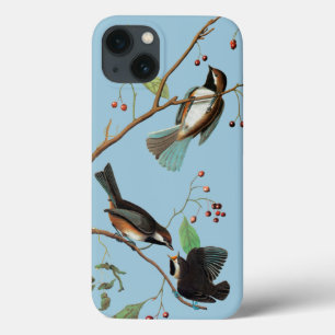 Audubon: Chickadee iPhone 13 Case