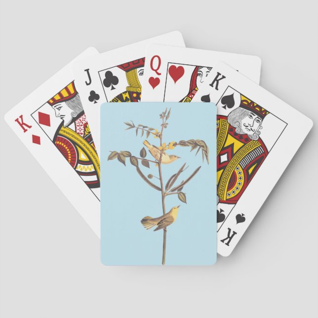 Audubon Children's Warbler Songbird Notebook Playing Cards (Back)