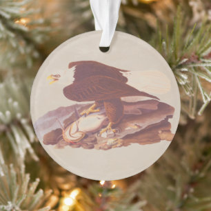 Audubon Classic Bald Eagle avec poisson frais