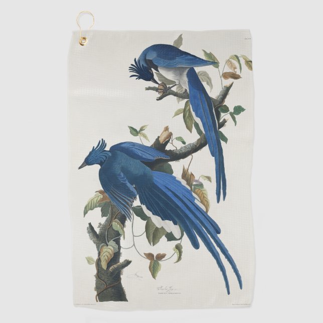 Audubon Columbia Jay Black Throated Magpie Jay Golf Towel (Front)