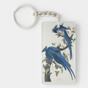 Audubon Columbia Jay Black Throated Magpie Jay Keychain