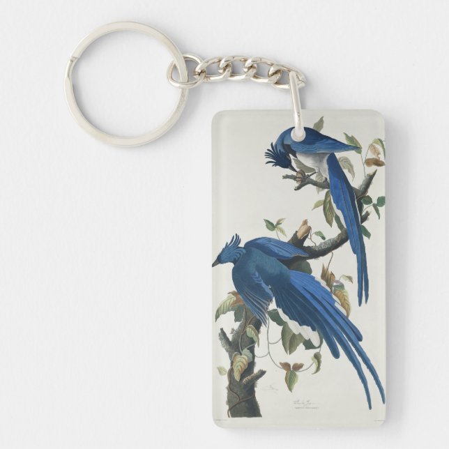 Audubon Columbia Jay Black Throated Magpie Jay Keychain (Front)