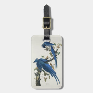 Audubon Columbia Jay Black Throated Magpie Jay Luggage Tag