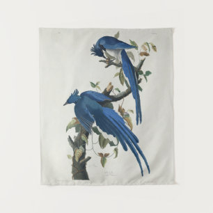 Audubon Columbia Jay Black Throated Magpie Jay Tapestry