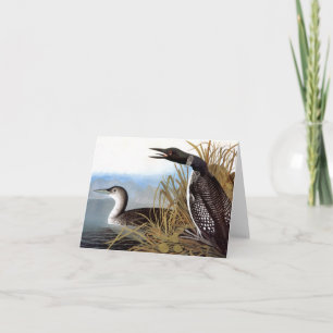Audubon Common Loon Card