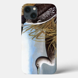 Audubon: Common Loon iPhone 13 Case