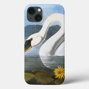Audubon: Common Swan iPhone 13 Case