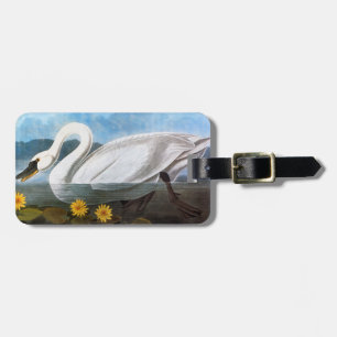 Audubon: Common Swan Luggage Tag
