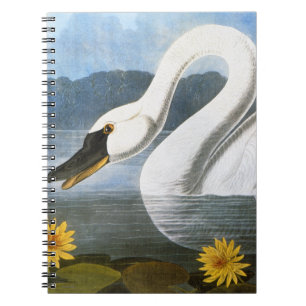 Audubon: Common Swan Notebook