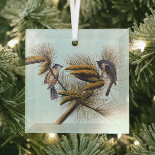 Audubon Crested Titmouse Birds in Pine Tree Glass Ornament