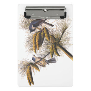Audubon Crested Titmouse Birds in Pine Tree Mini Clipboard
