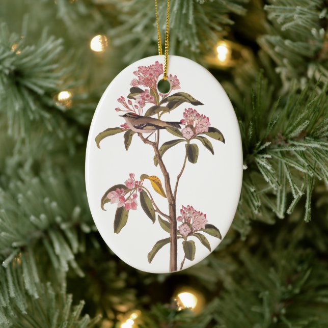Audubon Cuvier's Kinglet Mystery Bird Ceramic Ornament (Tree)