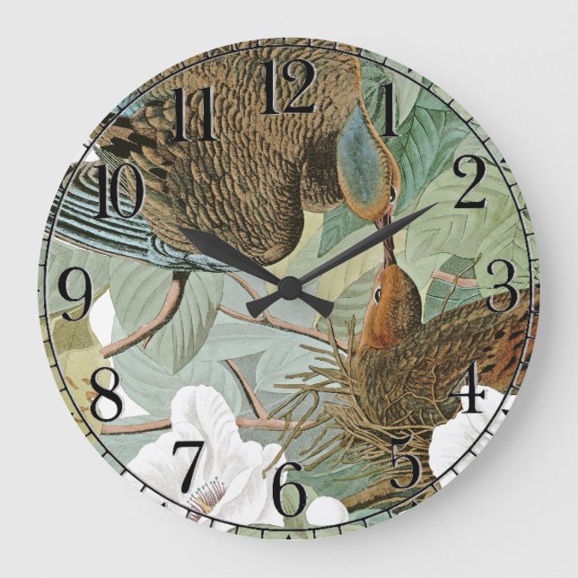 Audubon Dove Bird Animal Wildlife Wall Clock (Front)