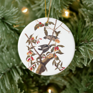 Audubon Downy Woodpecker Pair Ceramic Ornament