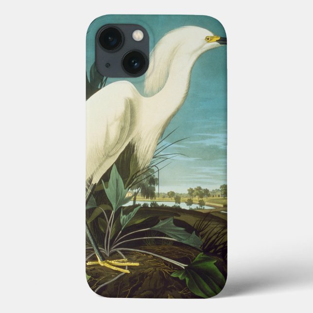 Audubon: Egret Case-Mate iPhone Case (Back)
