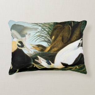 Audubon: Eider Duck Accent Pillow
