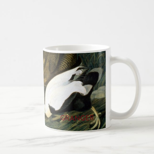 Audubon: Eider Duck Coffee Mug (Right)