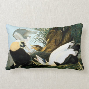 Audubon: Eider Duck Lumbar Pillow