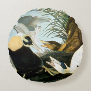 Audubon: Eider Duck Round Pillow