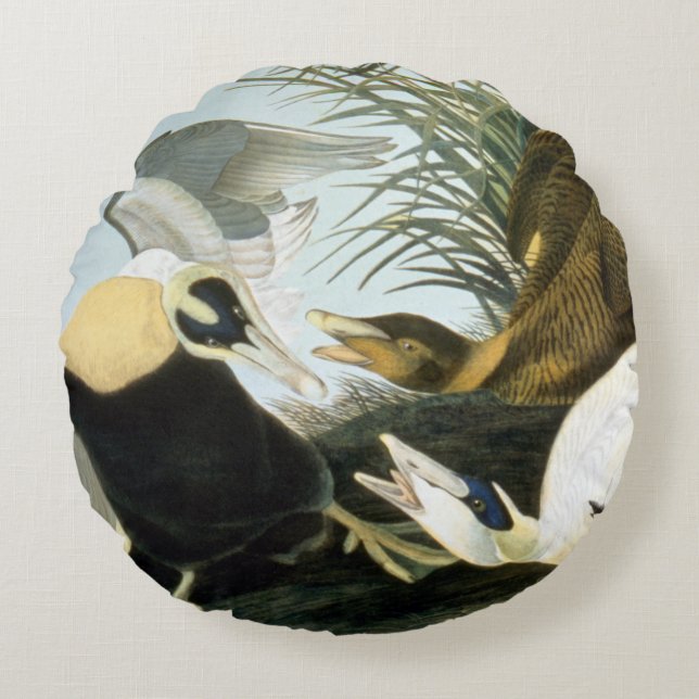 Audubon: Eider Duck Round Pillow (Front)