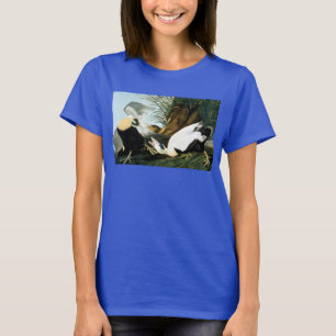 Audubon: Eider Duck T-Shirt